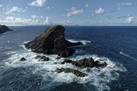 Prix Design Affairs OO1  Easy Ride