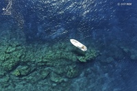 Prix Eden Rock Villa Rental  Easy Ride